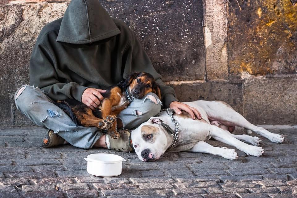 Street Dawg Crew of Utah Pet Food Outreach