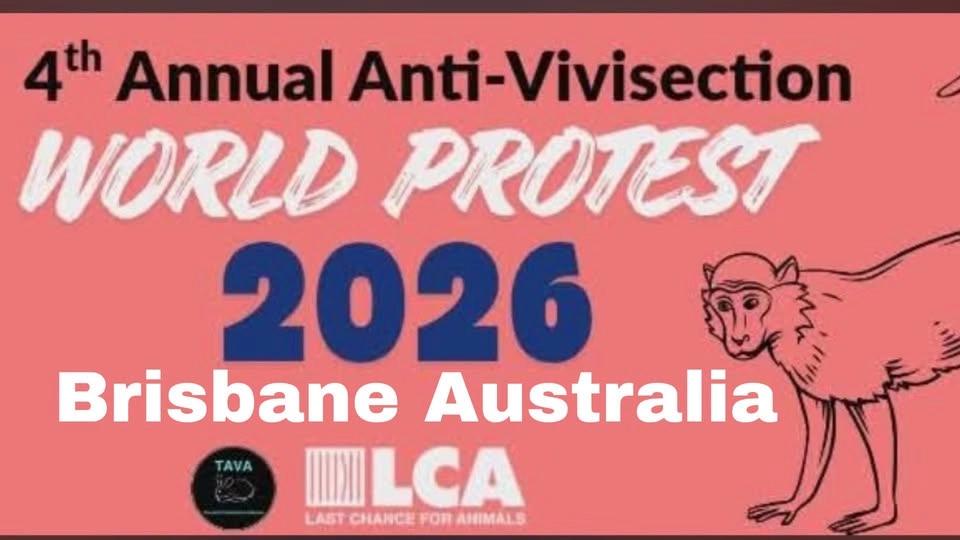 4th Annual World Anti-Vivisection Protest- Brisbane