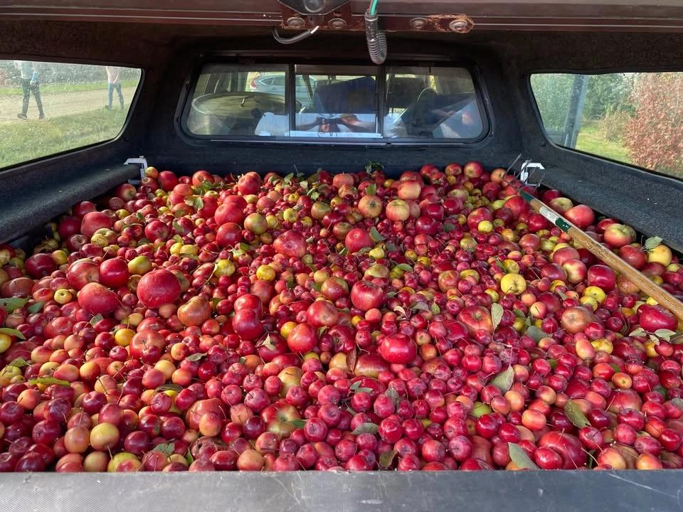 Apple Festival & Craft Fair