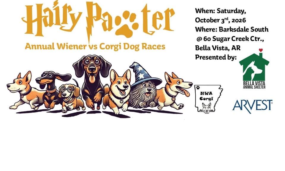 21st Annual Wiener or Corgi Takes All Races