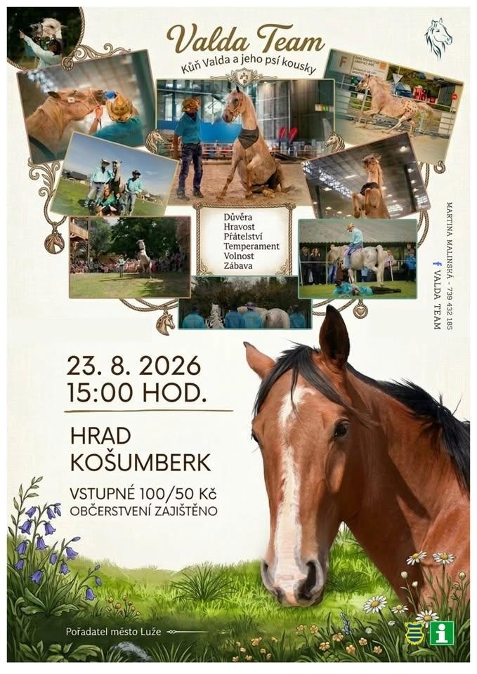 Valda kůň a jeho psí kousky