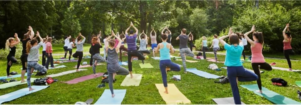 Yoga in the Meadows