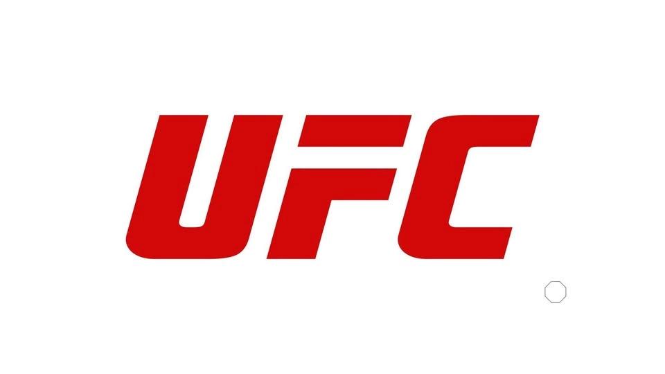 UFC 330: Makhachev vs Machado Garry