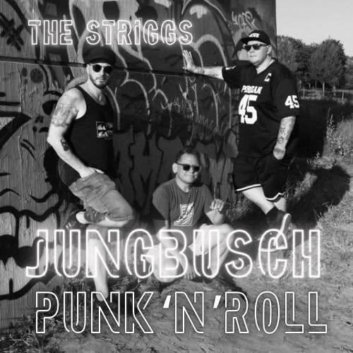 THE STRIGGS (DE) + VAULTAIRE (DE) Punk'n'Roll @ ALTER