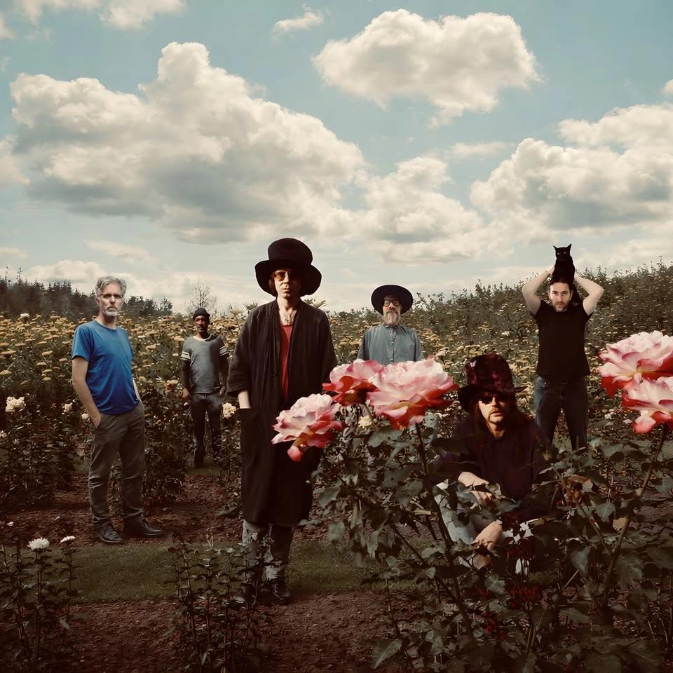 Tear Garden - Toronto