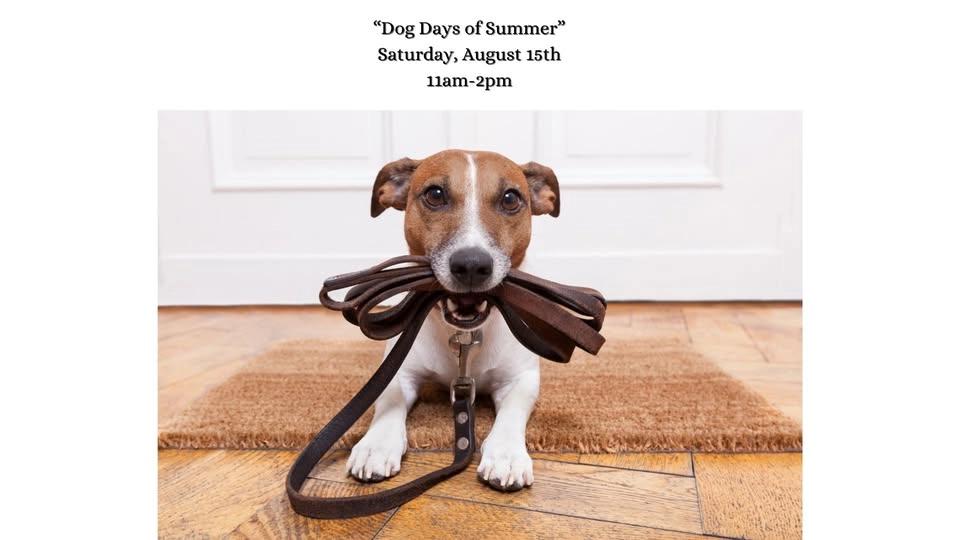 Dog Days of Summer!