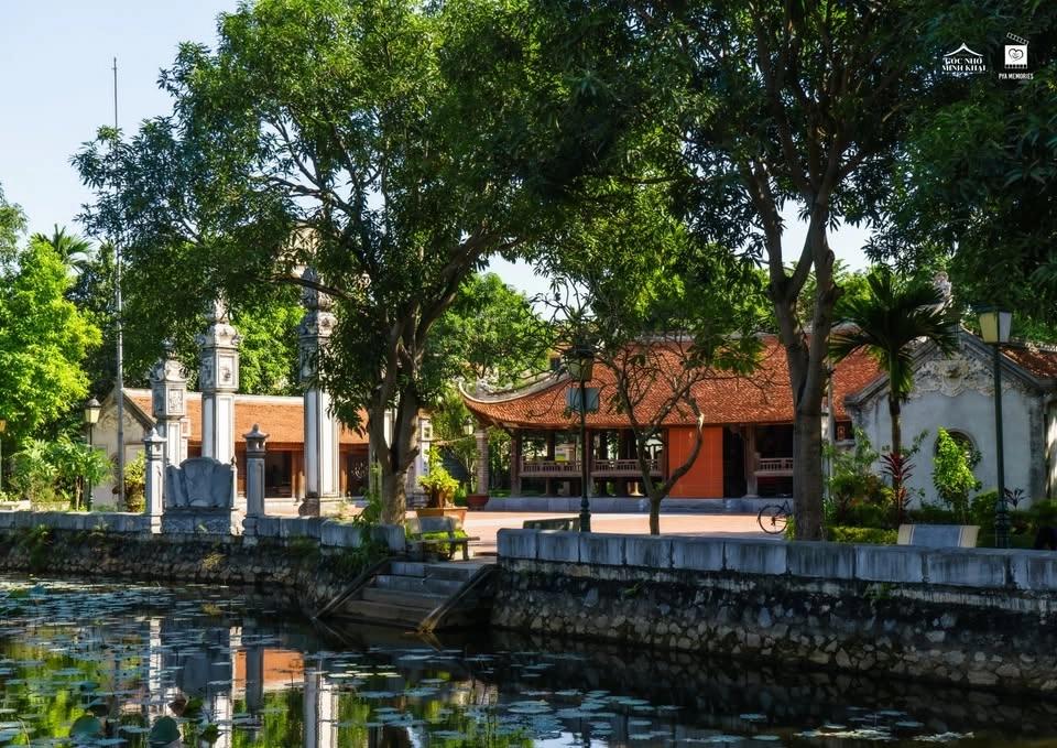 TẾT SÂN ĐÌNH 2027 - XUÂN ĐINH MÙI